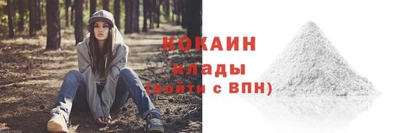 Альфа ПВП Краснослободск