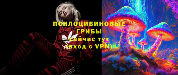 ПСИЛОЦИБИНОВЫЕ ГРИБЫ Красноперекопск