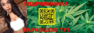 индика Абакан