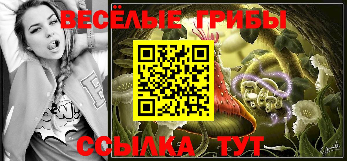 Старый Оскол  Псилоцибиновые грибы мухоморы  Вход с VPN 