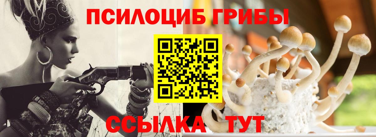 Галлюциногенные грибы прущие грибы Старый Оскол